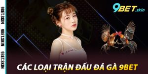 Các loại trận đấu Đá Gà 9Bet