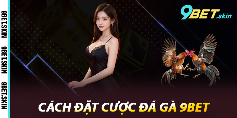 Cách đặt cược Đá Gà 9Bet